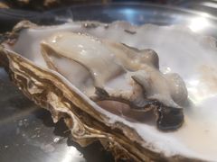 -蚝堡海鲜·威海菜·海肠捞饭·烧烤·亚洲吃蚝公司(幸福门店)