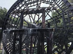-厦门园林博览苑