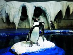 -太平洋海底世界