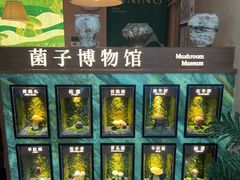-7mall美食潮地标