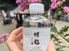 -灵隐飞来峰景区