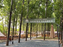 -森林小栈TreeStation露营基地