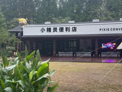 -黄海国家森林公园