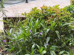 -苏州河梦清园环保主题公园