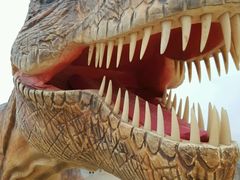 游乐设施&nbsp;台湾设计的逼真恐龙&nbsp;身体会动、会叫、就连&nbsp;眼睛也会眨-平潭国际旅游岛·龙王头沙滩运动基地
