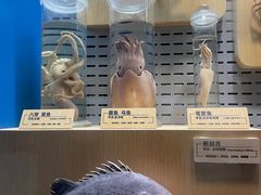 -青岛海底世界-水族馆