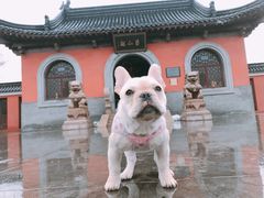 -葛仙湖公园