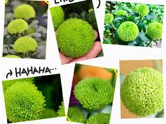 -真功夫(中医院店)