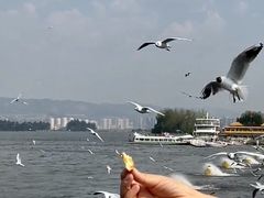 -海埂大坝