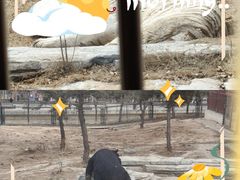 -太原动物园