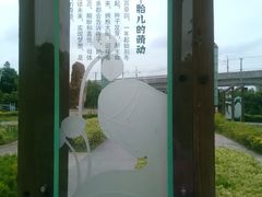 景点-美兰湖景区