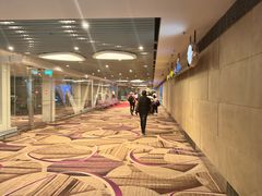 -樟宜机场免税店