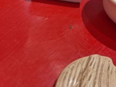 -陈记卤煮小肠