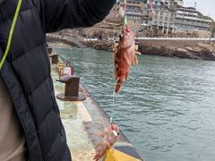 -阿军排档·烧烤