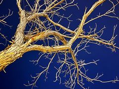 -0907餐厅(核桃园店)