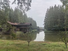 -黄海国家森林公园