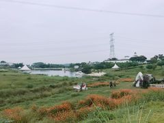 -紫颐香薰山谷景区