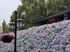 -苏州上方山国家森林公园