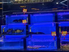 -亿牌牌东北烧烤(博物馆旗舰店)
