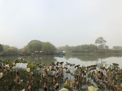 -长兴太湖图影湿地文化园