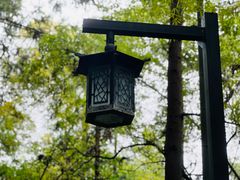 -杭州半山国家森林公园