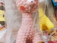 -家有小宠宠物美容(双楠街店)