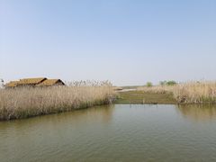 -宁波杭州湾国家湿地公园