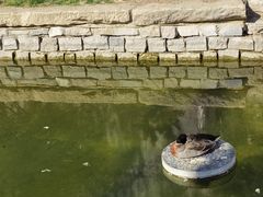 -三里河公园