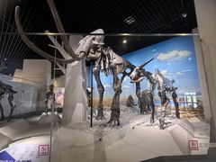 -国家自然博物馆