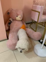 -Pink You美甲美睫纹绣定制中心