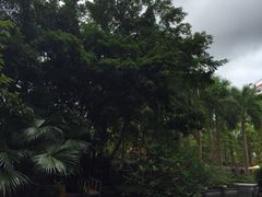 iphone_upload_pic-深圳华侨城洲际大酒店