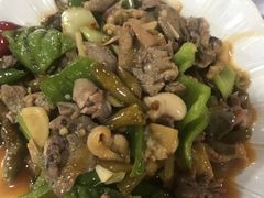 -铁山坪森林公园