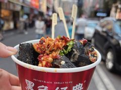 -黑色经典臭豆腐·湖南特产(坡子街店)