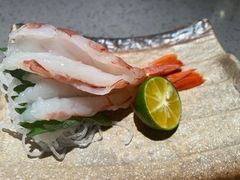 -小乔回转寿司(沈阳大悦城店)