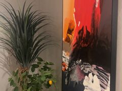 -大鸭梨烤鸭店(花园村店)