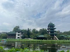 -桂湖森林公园