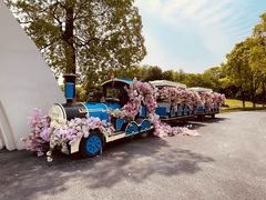 -上海鲜花港
