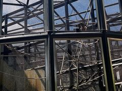 -石排湾郊野公园