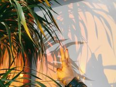 -有鱼吃·纸包烤鱼(曲江创意谷店)