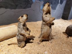 -酷嗒动物文化乐园(cutezoo西溪乐天城店)