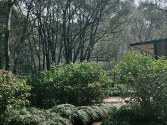 -WeLope紫金山探险公园