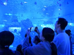 -石家庄极地海洋世界