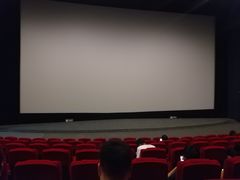 -保利国际影城(保利文化广场店)