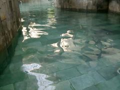 -青岛海泉湾度假区温泉