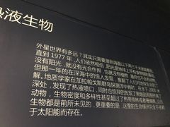 -同济大学四平路校区深海探索馆