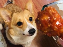 -三个先森的韩国炸鸡(中北店)