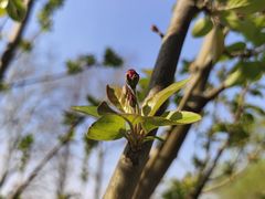 -元大都城垣遗址公园