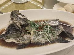 -骏莱海鲜鱼港(五角场店)