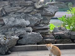-荔湾湖公园