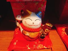 -猫咪博物馆(顶澳仔猫街店)